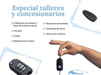 Trabajamos para talleres y concesionarios